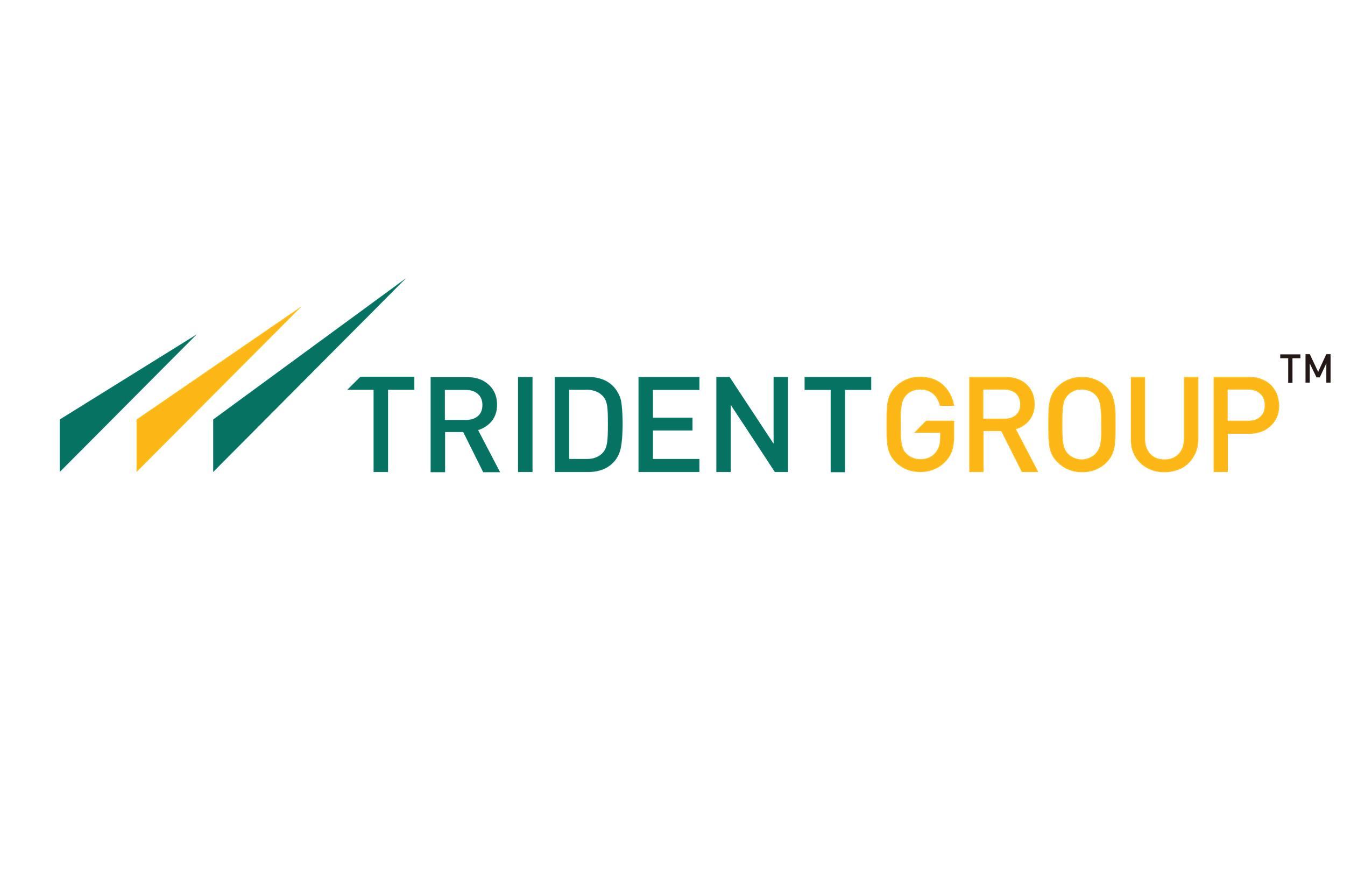 Trident Ltd Stock Analysis Buy or Sell?